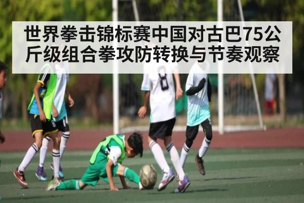 世界拳击锦标赛中国对古巴75公斤级组合拳攻防转换与节奏观察